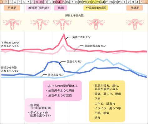 生理作用|「生理機能(せいりきのう)」の意味や使い方 わかりやすく解説。